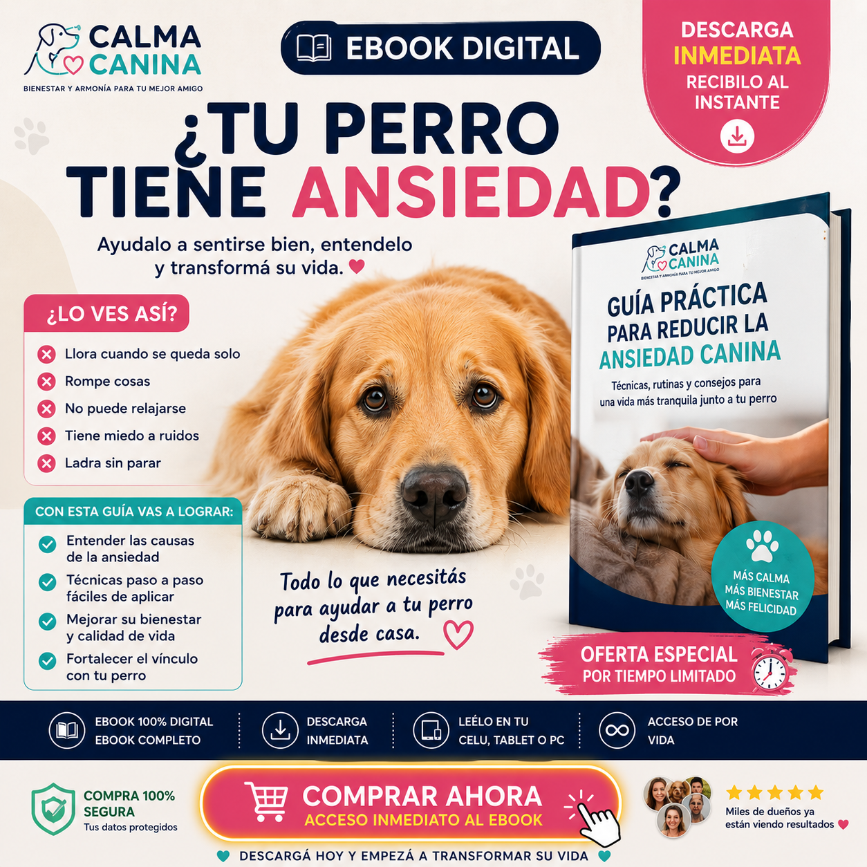 "Tu perro sufre cuando te vas-👉 “Tu perro no quiere portarse mal… está sufriendo” Solución en 21 días"
