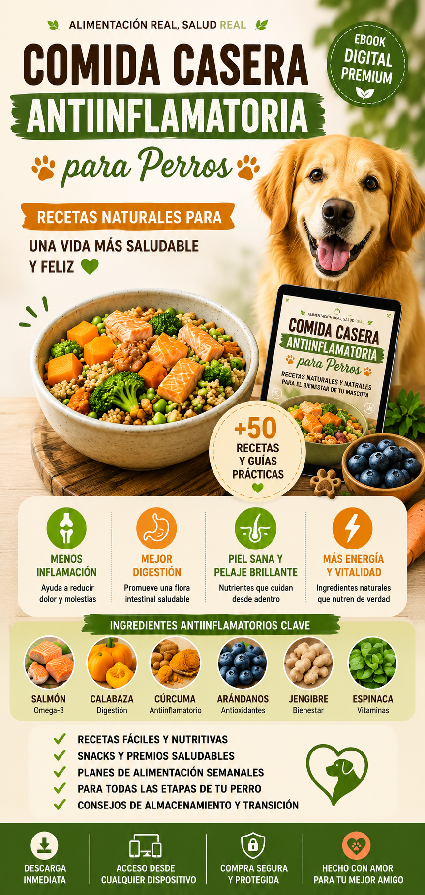 🐶 Comida Casera Antiinflamatoria para Perros